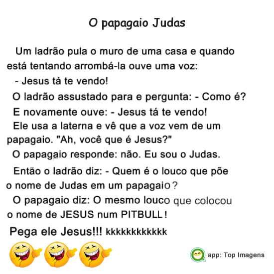 O papagaio Judas