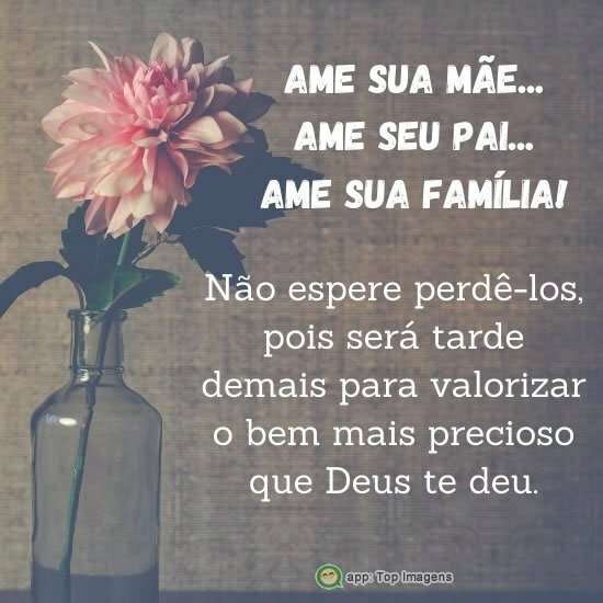 Ame sua família