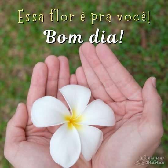 Bom dia