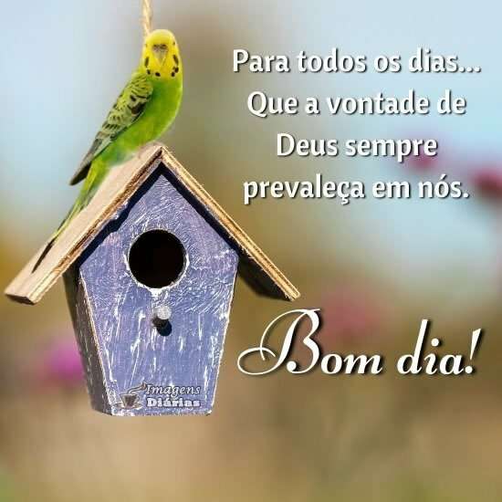Resultado da pesquisa por Bom Dia - Top Imagens, página 144 Resultado da pesquisa por Bom Dia - Top Imagens, página 144