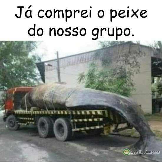 Já comprei o peixe do grupo