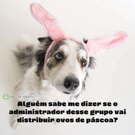 Ovos de páscoa no grupo