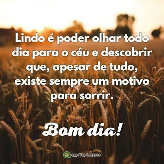 Bom dia