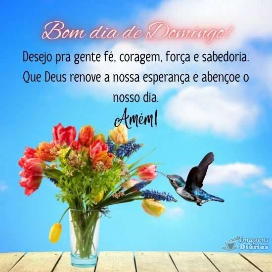 Bom dia de domingo - Top Imagem - 19546 Bom dia de domingo - Top Imagem - 19546