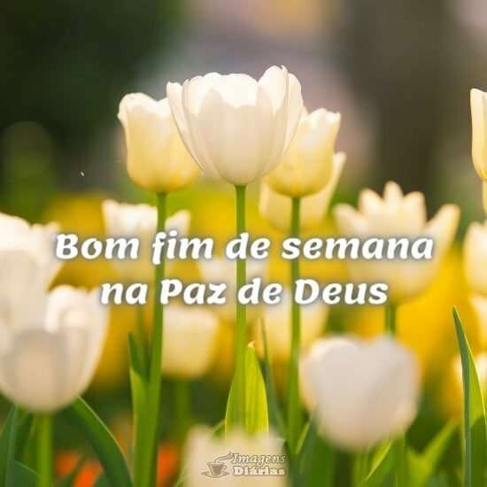 Bom fim de semana