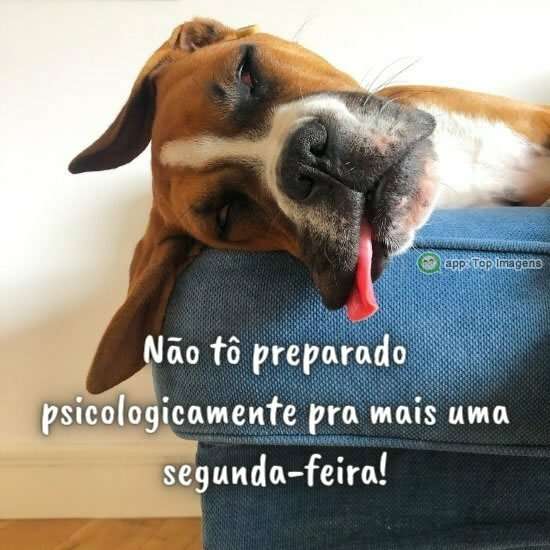 Preparada pra segunda-feira