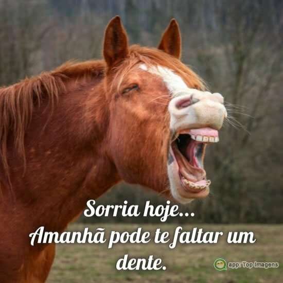 Sorria hoje