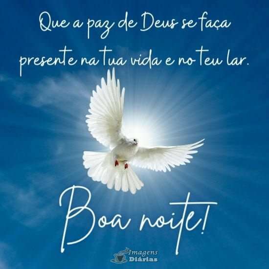 Boa noite