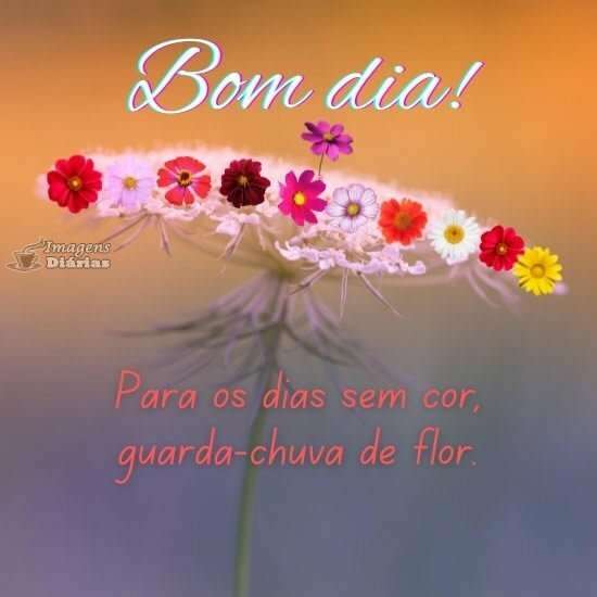 Bom dia