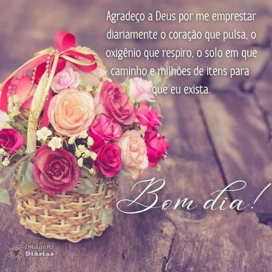 Bom dia