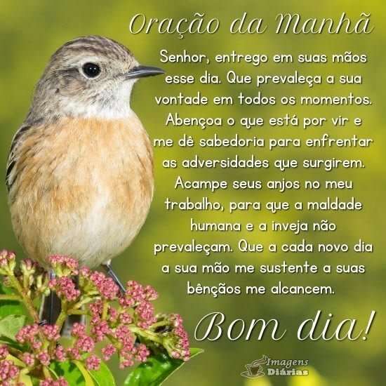 Bom dia