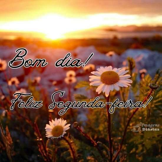 Bom dia e feliz segunda-feira