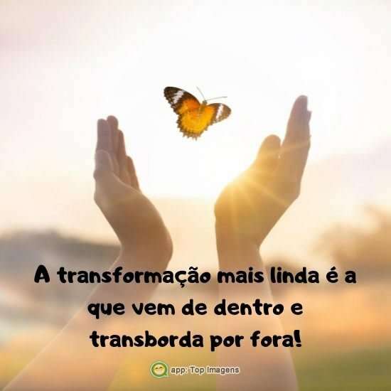 Transformação mais linda