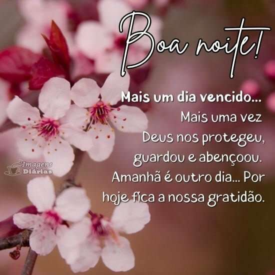 Boa noite