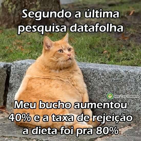 Última pesquisa