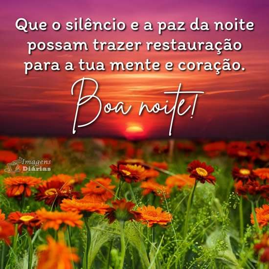 Boa noite
