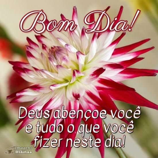 Resultado da pesquisa por Bom dia - Top Imagens, página 36 Resultado da pesquisa por Bom dia - Top Imagens, página 36
