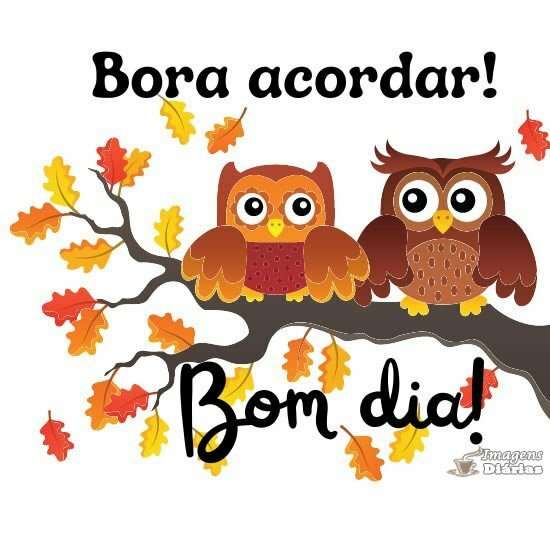 Bom dia