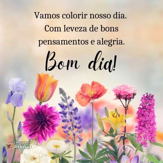 Bom dia