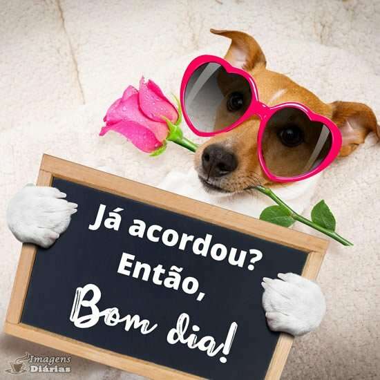 Já acordou? Bom dia