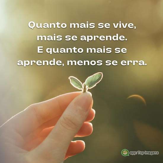 Viver e aprender