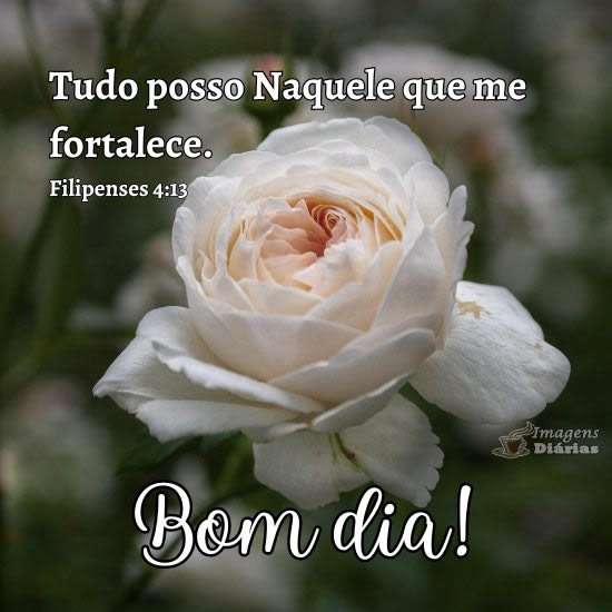 Bom dia