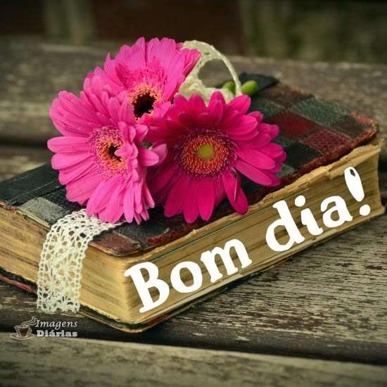 Bom dia