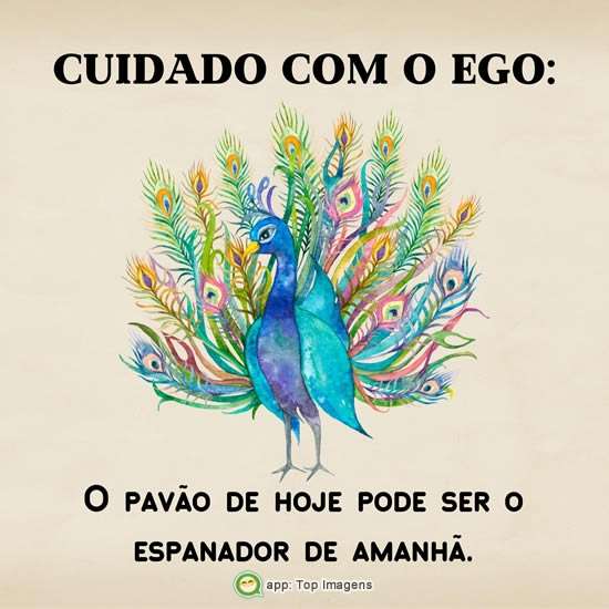 Cuidado com o ego