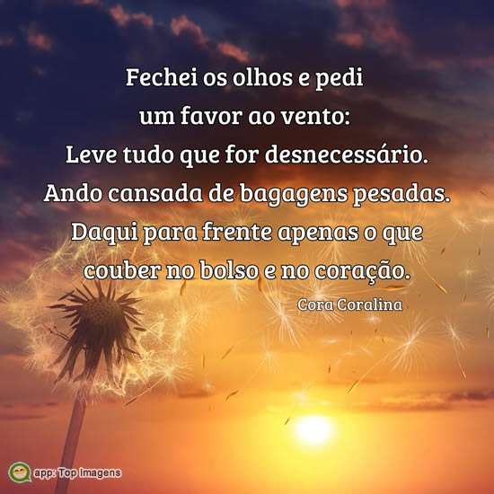 Favor ao vento