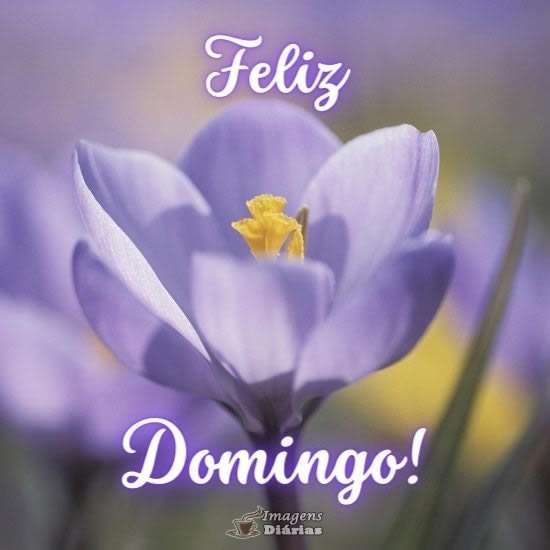 Feliz domingo