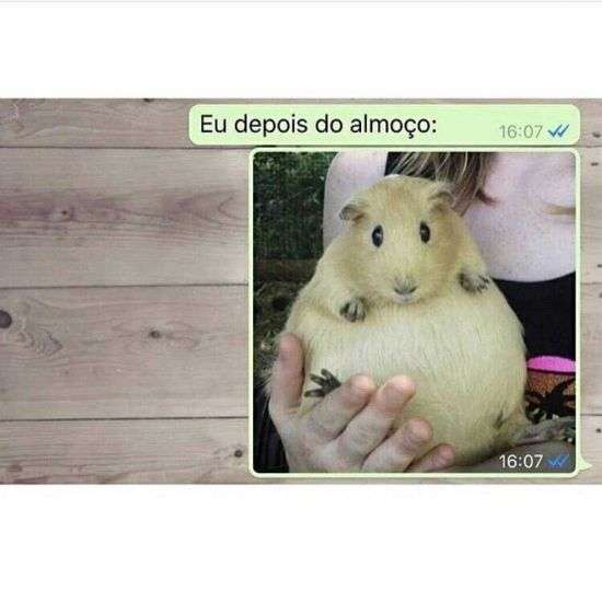 Depois do almoço