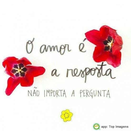 O amor é a resposta