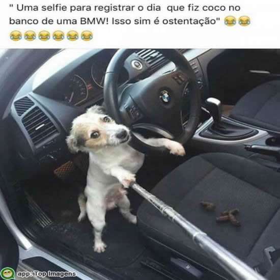 Ostentação