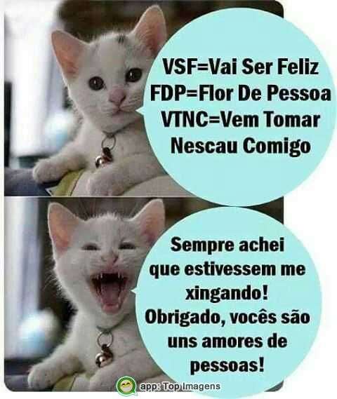 Vocês são uns amores