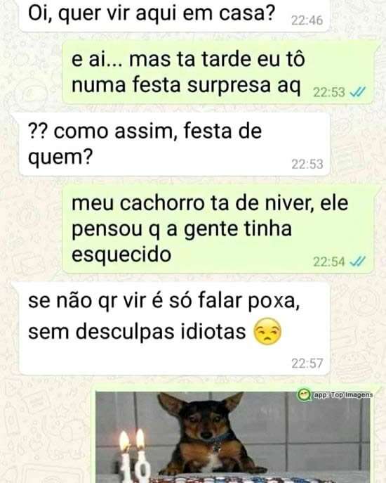 Aniversário do cachorro