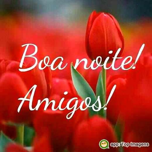 Boa noite amigos