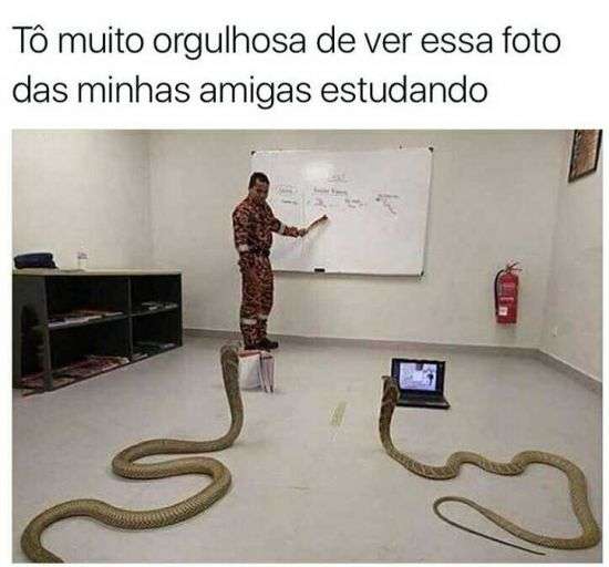 Orgulho das amigas