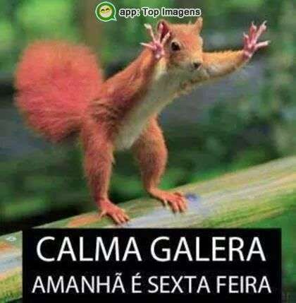 Calma amanhã é sexta-feira