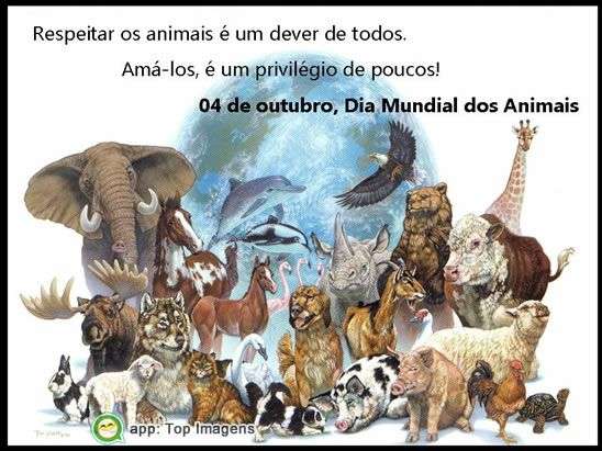 Dia mundial dos animais