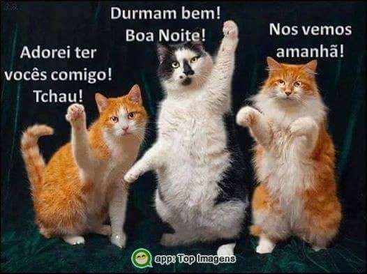 Durma bem