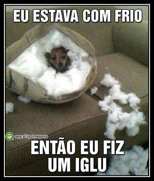 Estava com frio