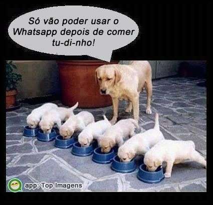 Whatsapp só depois de comer