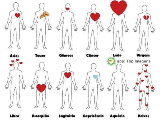 Amor dos signos