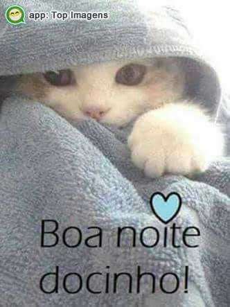 Boa noite