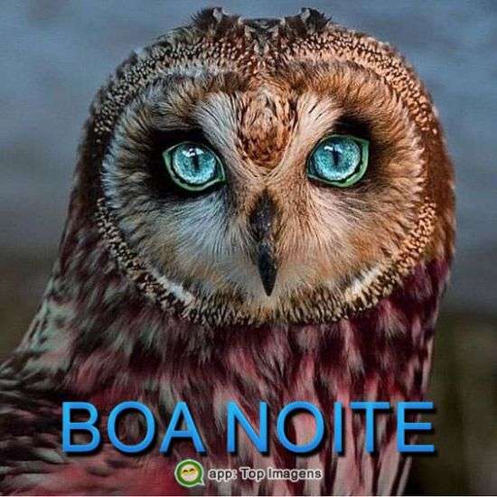 Boa noite