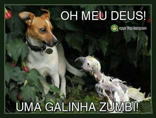 Galinha zumbi