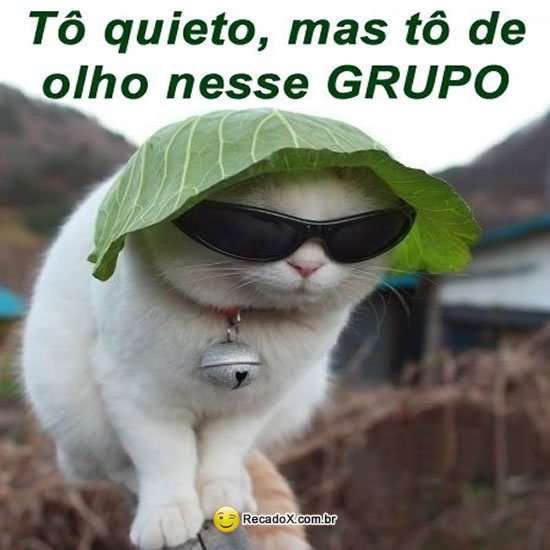 Tô de olho nesse grupo