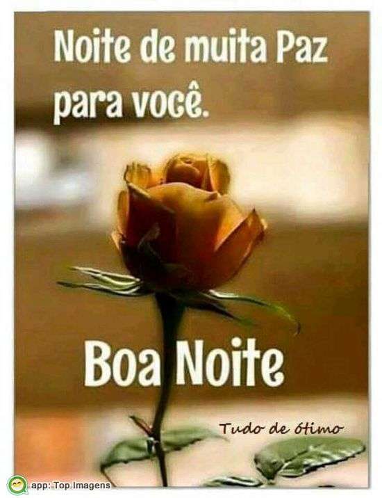 Boa noite