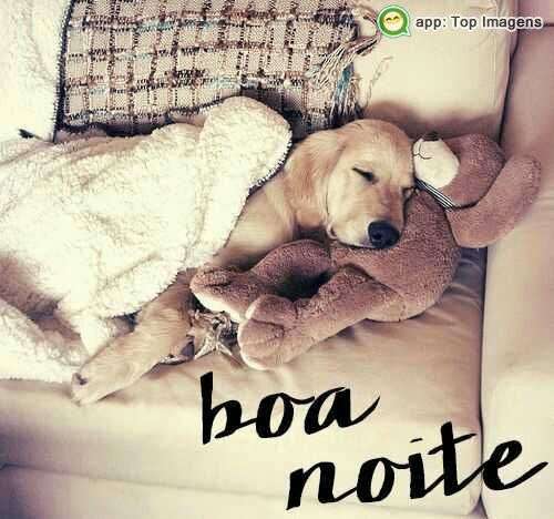 Boa noite