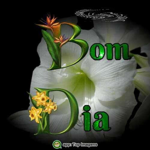 Bom dia